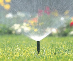 Spray